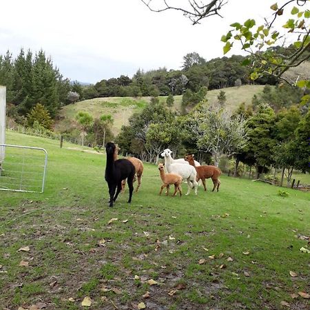 ケリケリ Grant And Sue'S Alpacas Bed & Breakfast エクステリア 写真