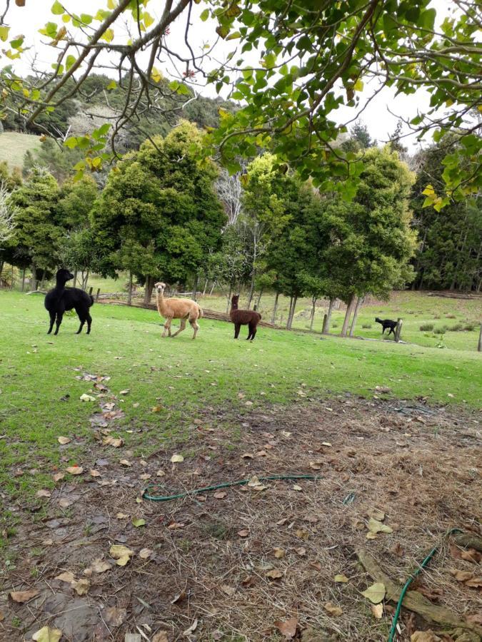 ケリケリ Grant And Sue'S Alpacas Bed & Breakfast エクステリア 写真